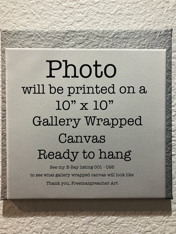 #139 Eben alien 10”x10” Gallery Wrapped Canvas. Ready To Hang. ￼ gallery