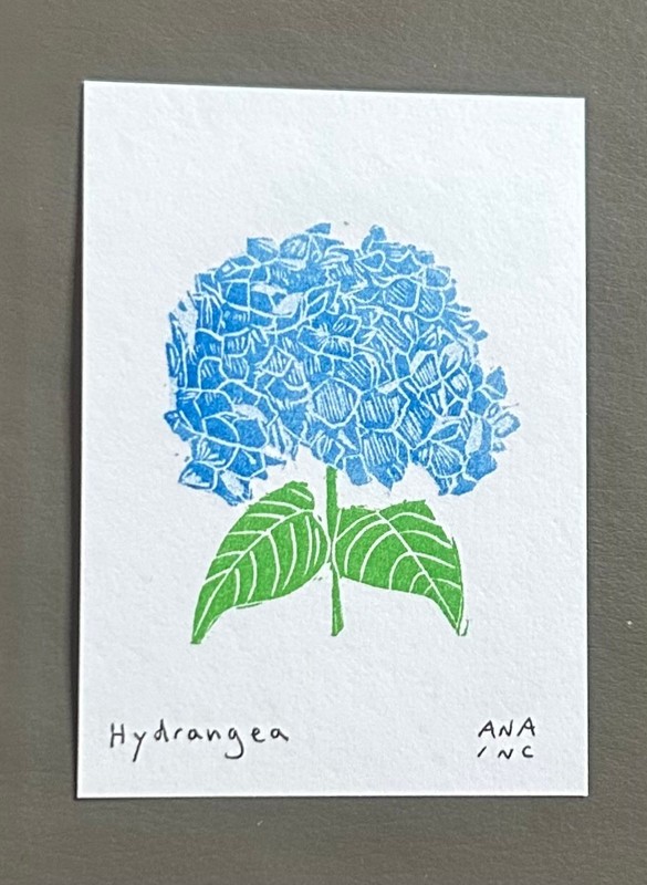 Anastasia Inciardi "Hydrangea" Mini Print