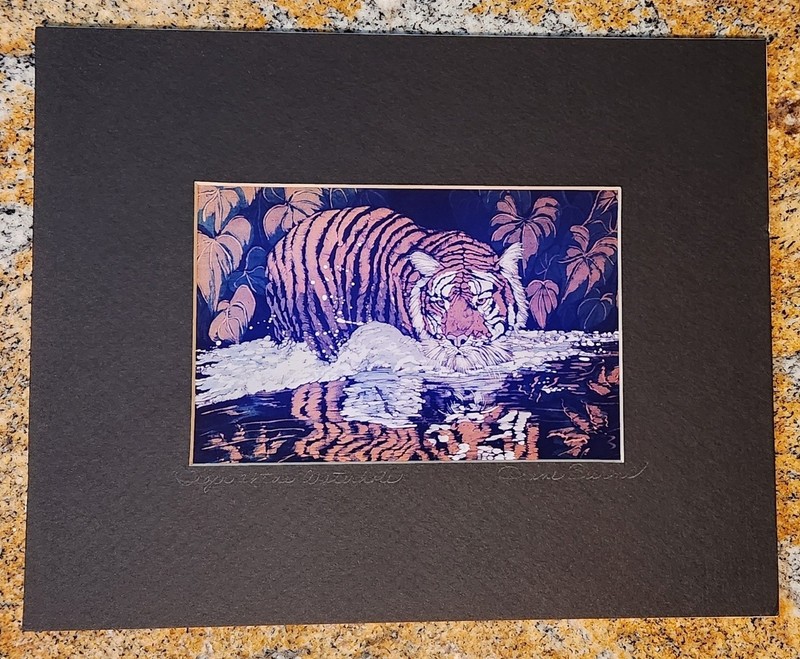 DIANE BURNS SIGNED PHOTOGRAPHIC PRINT «TIGER AT THE WATERHOLE»*IMAGE 3.75″x5.75*