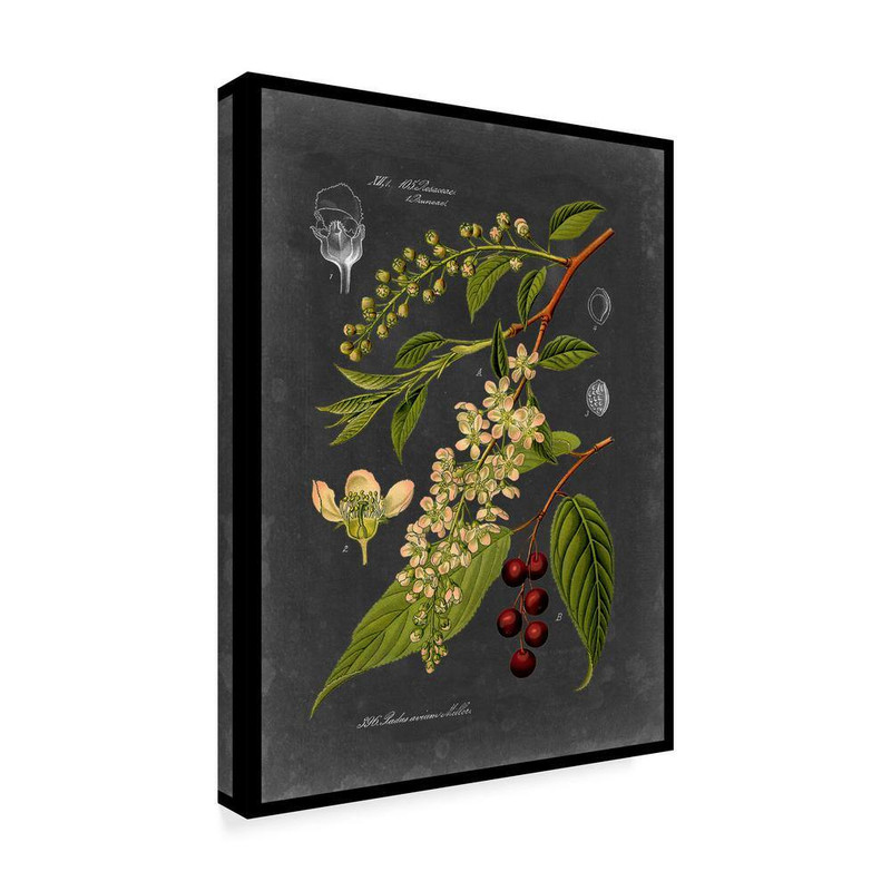 Midnight Botanical Ii by Vision Studio 32 In. X 24 In. gallery