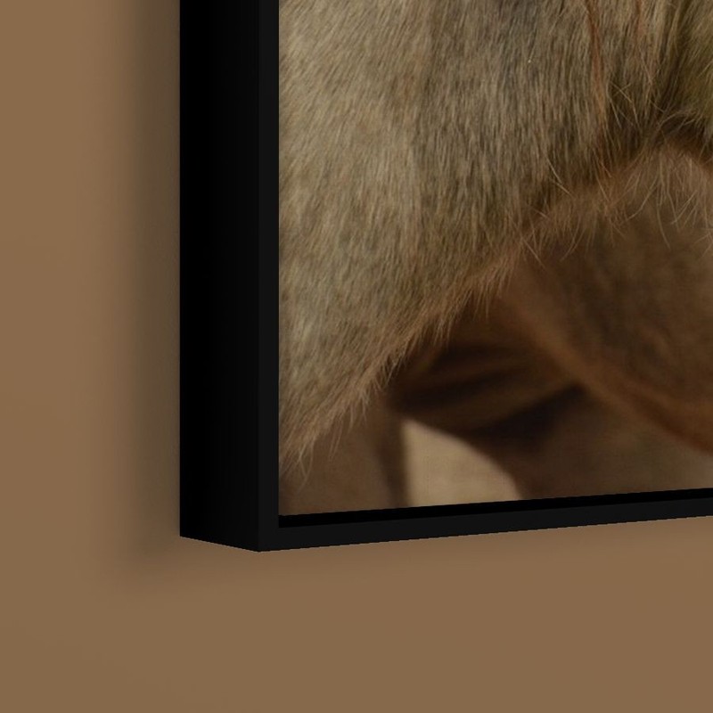 The Yellowstone Collection - Horse Grain - Art Print on Paper or Canvas gallery