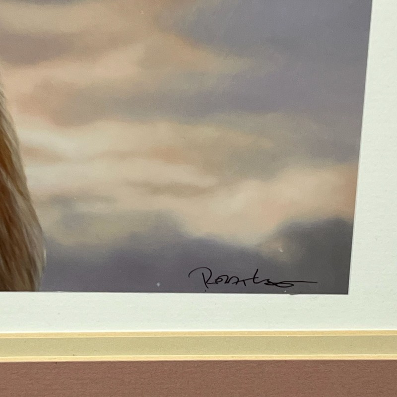 Robert Lange Eye to Eye Signed Art Print COA Custom Framed Bear Rabbit 22x22 gallery