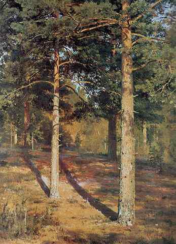 Shishkin Ivan The Sun Lit Pines 1886 A4 Print