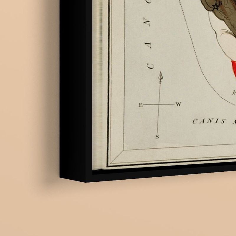 Sidney Hall - Astronomical Chart Illustration of the Zodiac Gemini - Art Print gallery