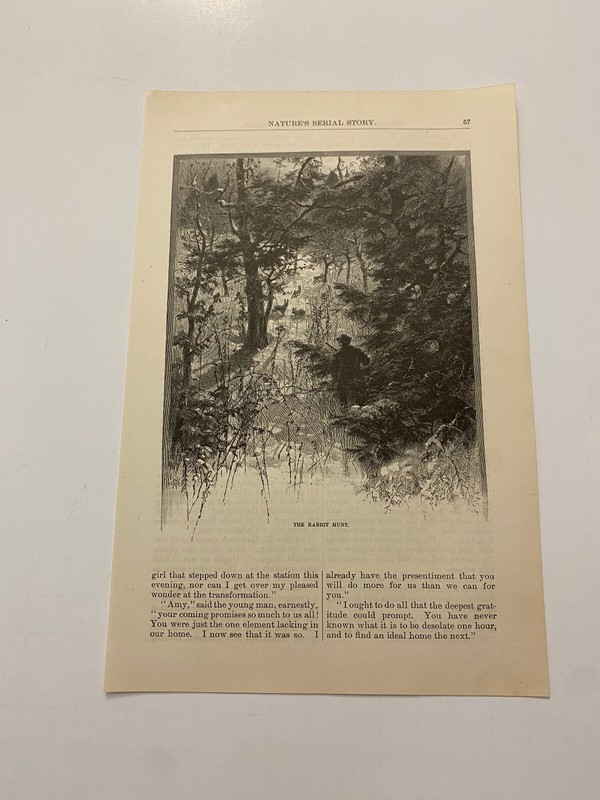 Hunter in Frozen Forest Winter Hunting of Rabbit c. 1883 Print