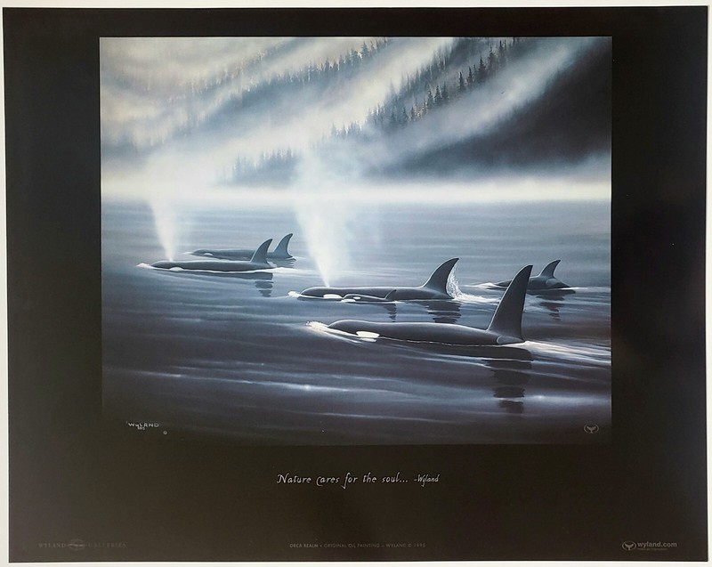 Wyland Orca Realm 1995 Nature cares for the soul Killer Whale Pod Art Poster New gallery