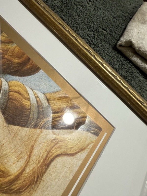 ⚜️ The Birth Of Venus 1991 French Lithograph Print Framed ⚜️ gallery