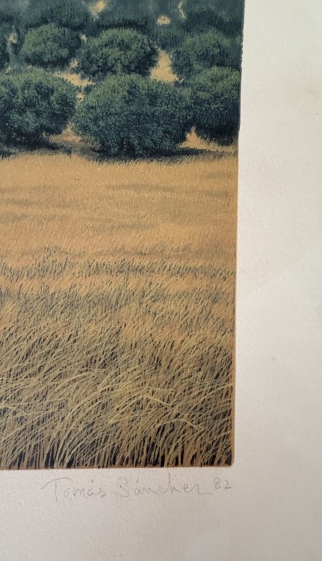 Tomás Sánchez – Untitled (1982) | Signed & Numbered Silkscreen. Cuban Art. gallery