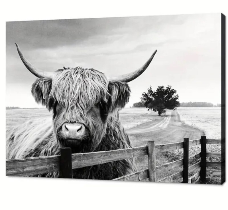 Wall Print Art HIGHLAND COW ANIMAL CANVAS UNFRAMED BLACK & WHITE 19x27in