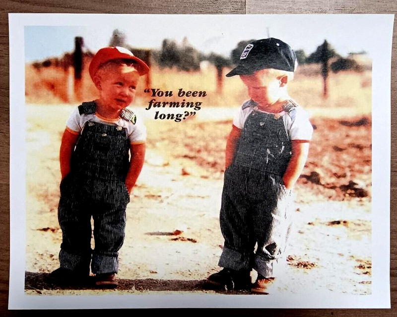You Been Farming Long Picture Print 8×10 Children & Infants 1934 Expressionism