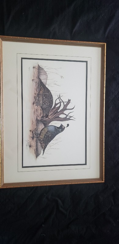 " California Quail " William C Peters