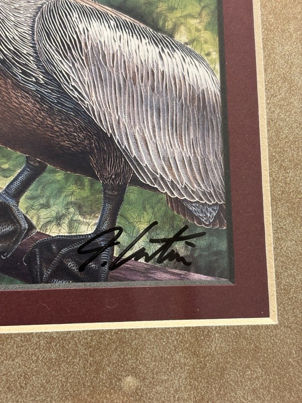 Original Signed "Brown Pelican" Fine Art Print, John Costin, Rare Decor Gifts gallery