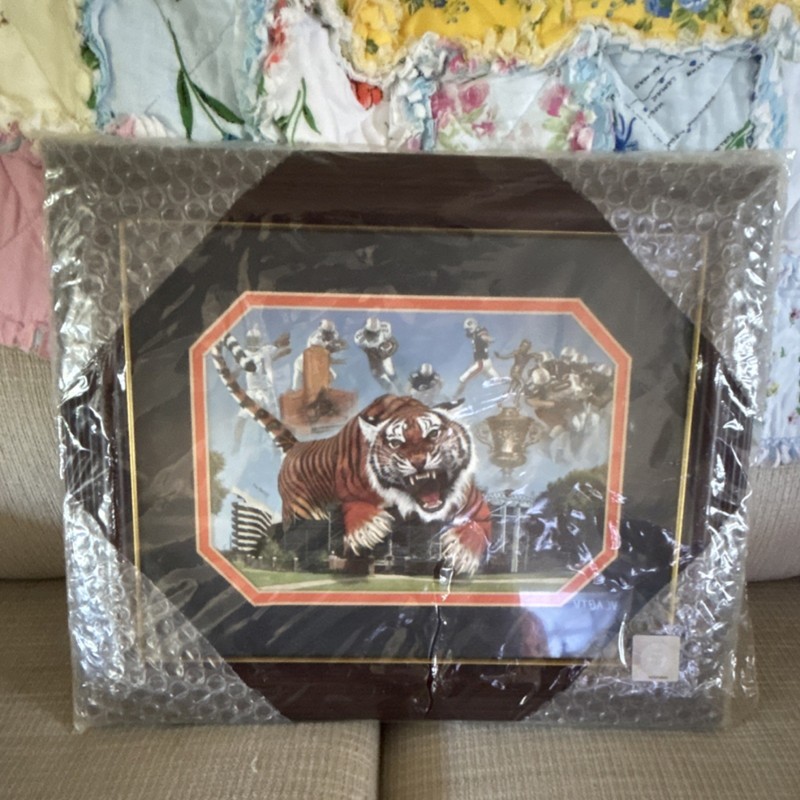 Framed Tiger Football Sports Print Sports Animals Trophies Landscape Paper Art