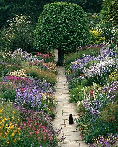 The Garden Cat by Greg Gawlowski Art Print Poster Pathway Black Kitten 13x15.625