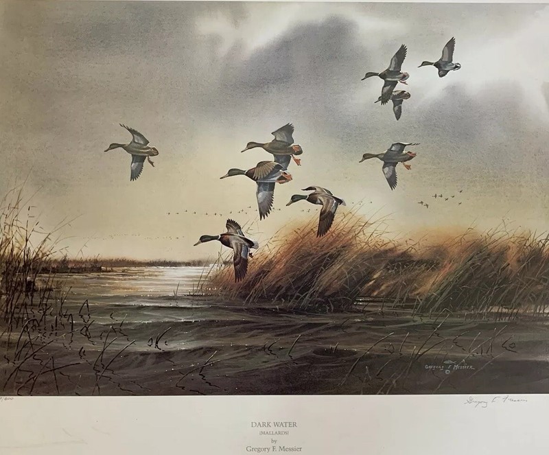 GREGORY MESSIER - Dark Water (Mallards) - Ltd Ed Print - Hand Signed
