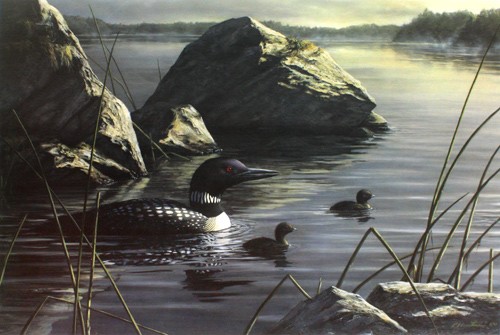 Robert Hautman Tranquil Waters – Loon