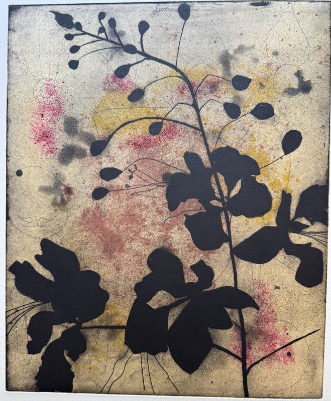 Suzi Davidoff Intaglio print: » Bird of Paradise», PRINTER’S PROOF