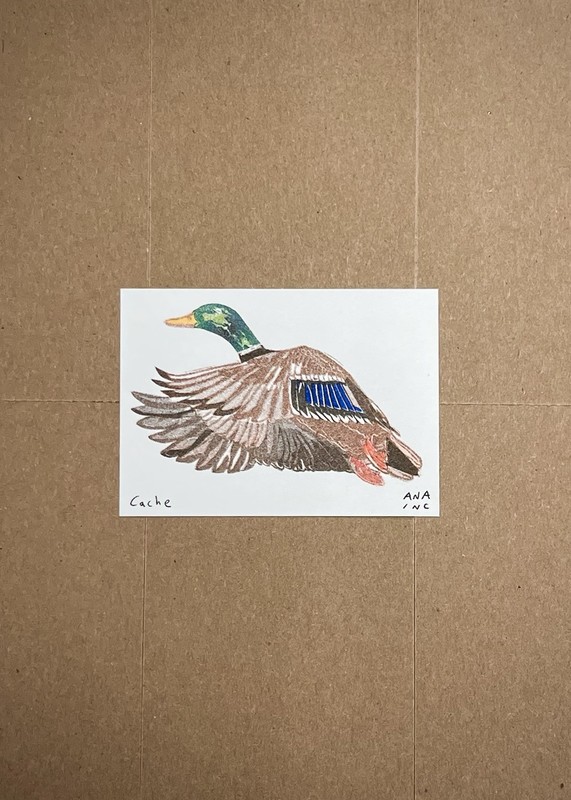 Anastasia Inciardi Mini Print – “Cache”