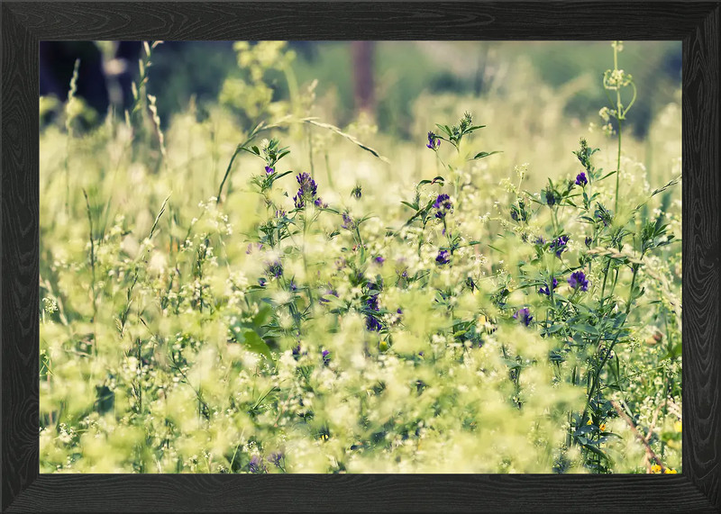 Summer Meadow Framed Wall Art Poster Canvas Print Picture