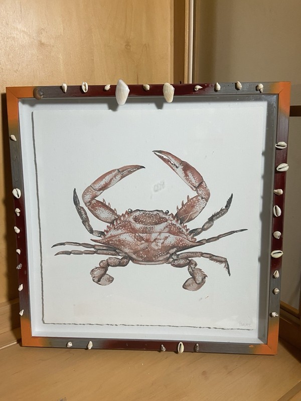 Framed Art Print Orange King Crab With Sea Shells gallery