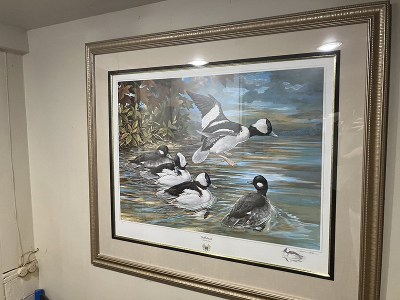 Basil Ede -Lmtd. Edition Print Signed Numbered -Bafflehead Duck With REMARQUE!!