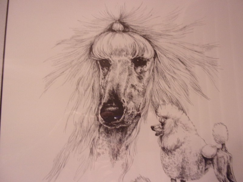 Poodle Variety Print - Lyn St. Clair Stubbs - SIGNED/Numbered/Cust.Framed - Mint gallery
