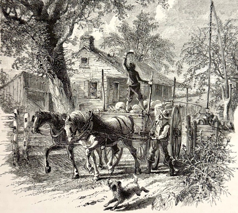 A HOMESTEAD IN KANSAS 1876 original print 7 1/4 by 5 3/4 inches» fine & clean
