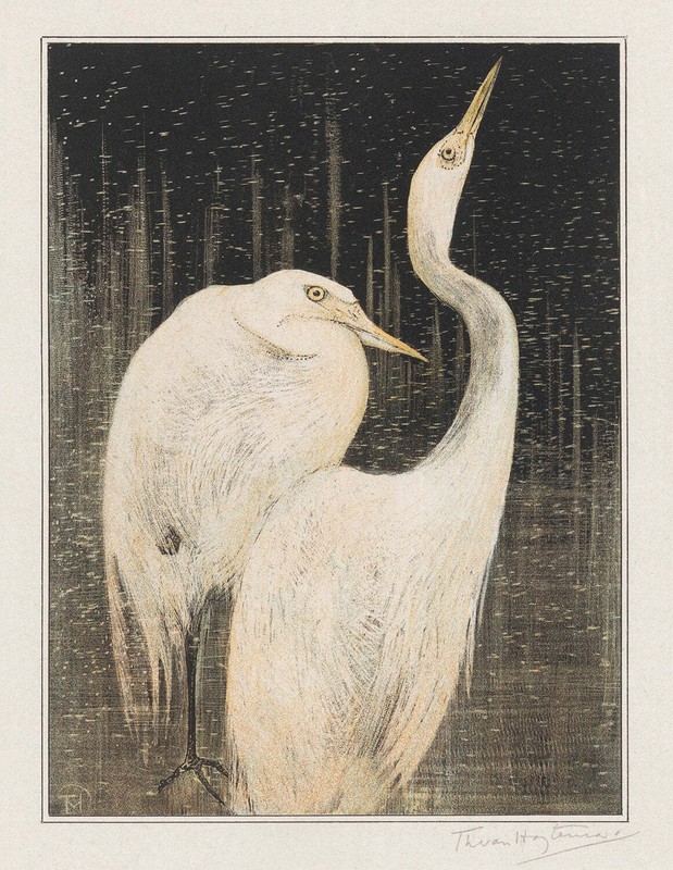 Twee zilverreigers by Theo van Hoytema Art Print