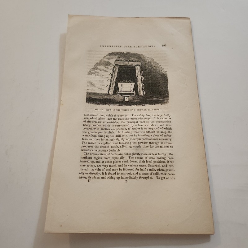View Of The Timber If A Drift Coal Mine Pennsylvania c. 1852 Engraving (6)