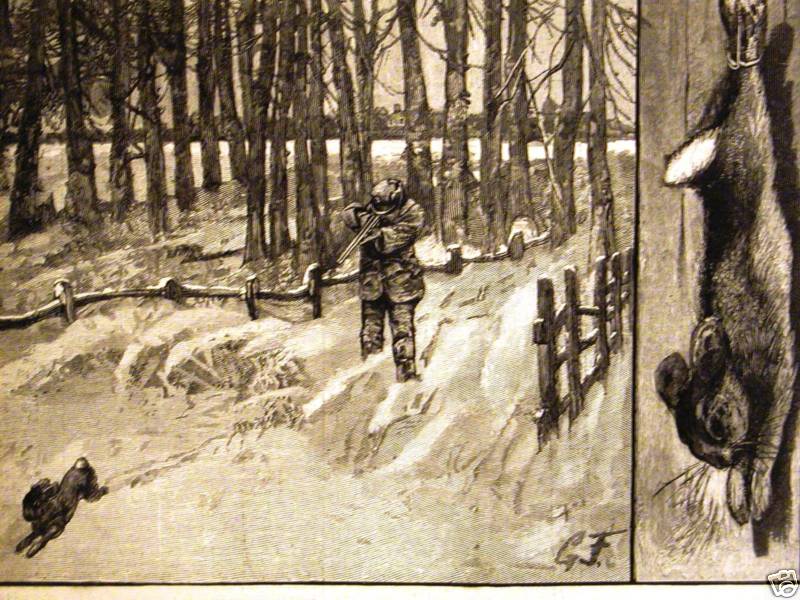 RABBIT SHOOTING LONG ISLAND HUNTING RIFLE 1883 Antique Print Matted