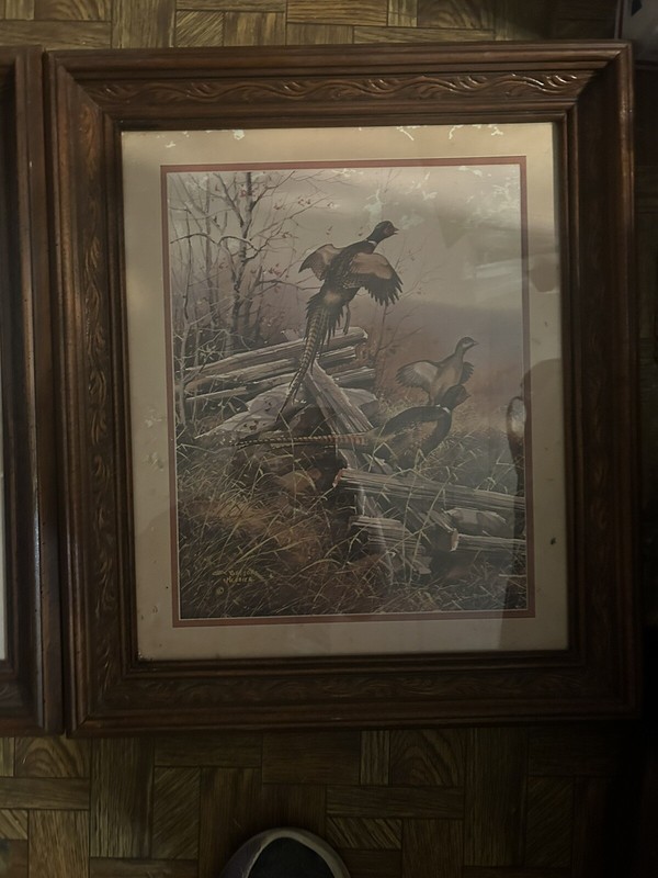 set of 2 Pheasants In Flight Gregory Messier Wood Framed ( 1 light/ 1 dark) gallery