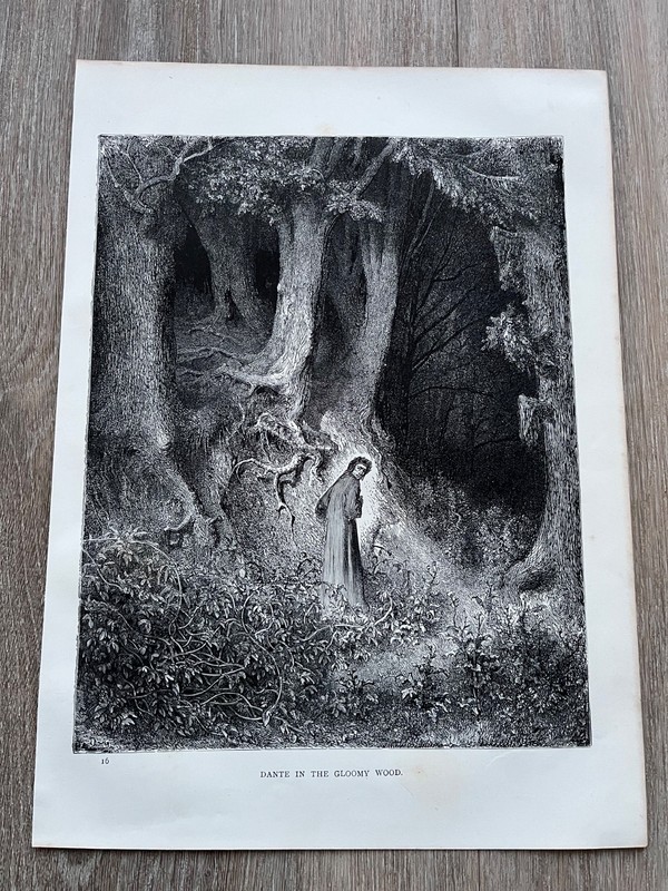 victorian 1897 original dore gallery print – dante in the gloomy wood