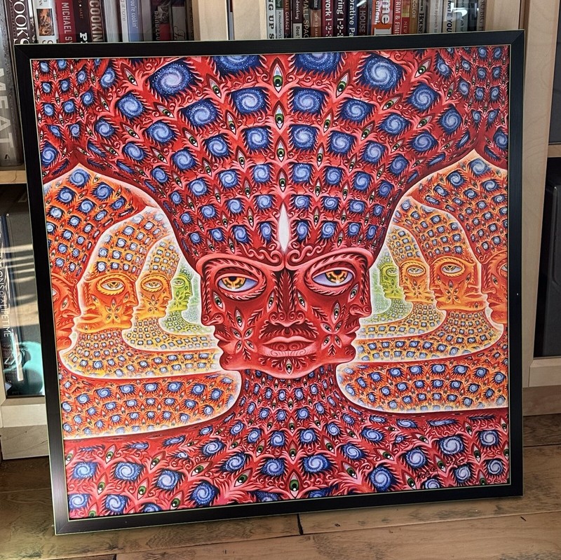 Alex Grey GODSELF Signed Numbered Framed TOOL visionary psychedelic LSD acid