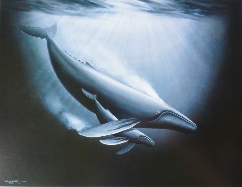 Wyland Whales Celebration of the sea 1989 whale & calf baby animal ocean art