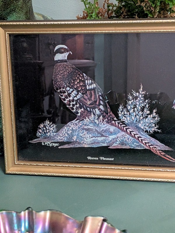 Vintage Reeves Pheasant Framed Wildlife Art Print S. McGregor 1970s 1980s Retro gallery