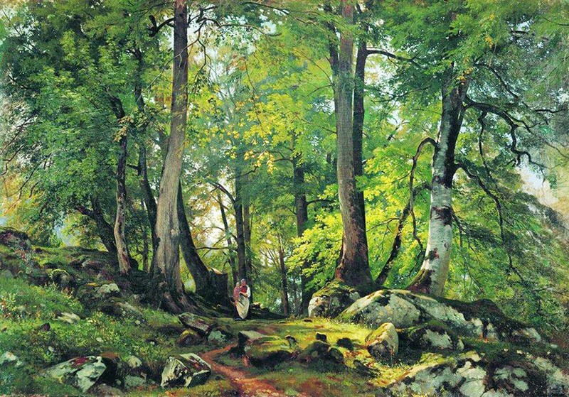 Walking in Beech Forest Switserland by Ivan Shishkin