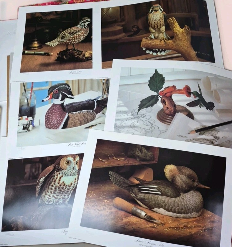 6 Al Ponte Signed Bird Prints 300/1000 Federal-Mogul 1984 Limited Portfolio Set