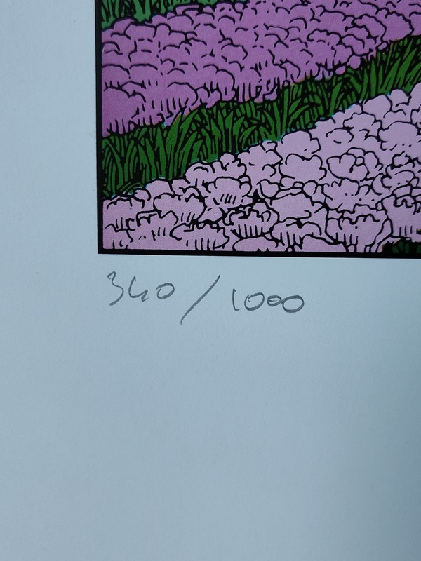 JEAN GIRAUD MOEBIUS 1984 SCREEN PRINT COLOR LITHOGRAPH ART PRINT SIGNED PG 1 gallery