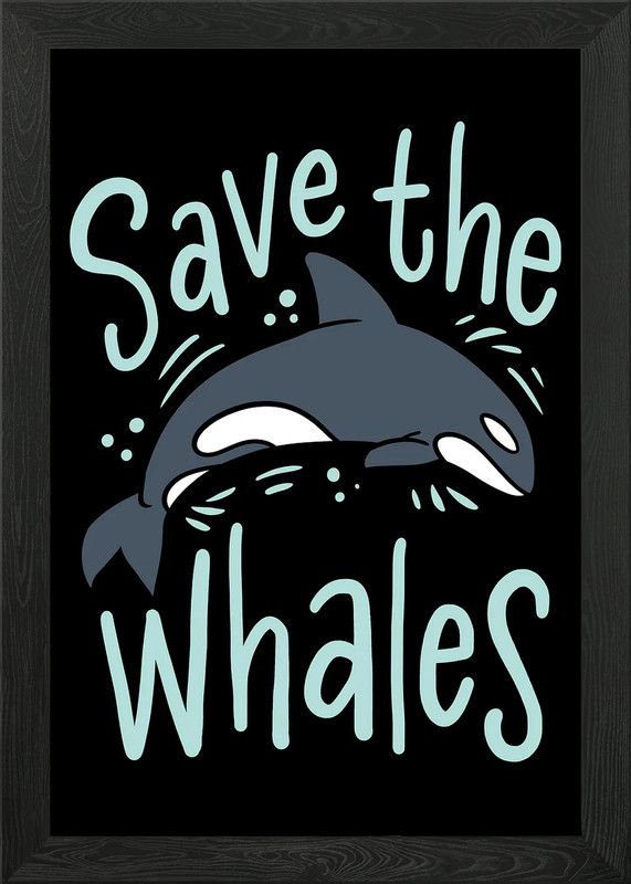 Save The Whales Orca Kille Framed Wall Art Poster Canvas Print Picture