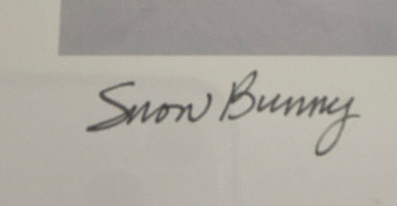 Jon Van Zyle Snow Bunny Signed Art Print Rabbit Realism Paper Contemporary 2009 gallery