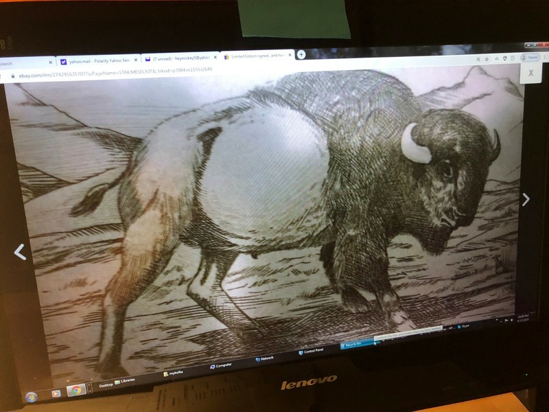 Limited Edition signed,, and numbered Print-Litho "BUFFALO?" A/P /100, O'BRIEN gallery