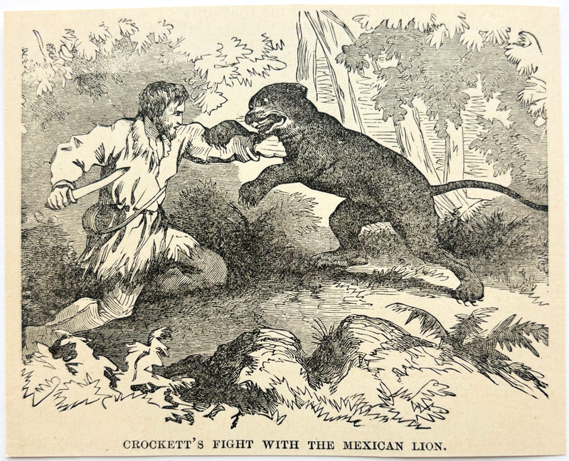 1888 Davy Crockett Fights Mexican Lion Wood Engraving Victorian Cougar A1F