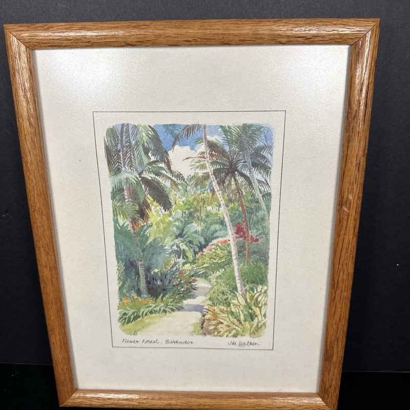 Vtg Jill Walker Wood/Glass Framed 9″X 11″ Flower Forest, Barbados