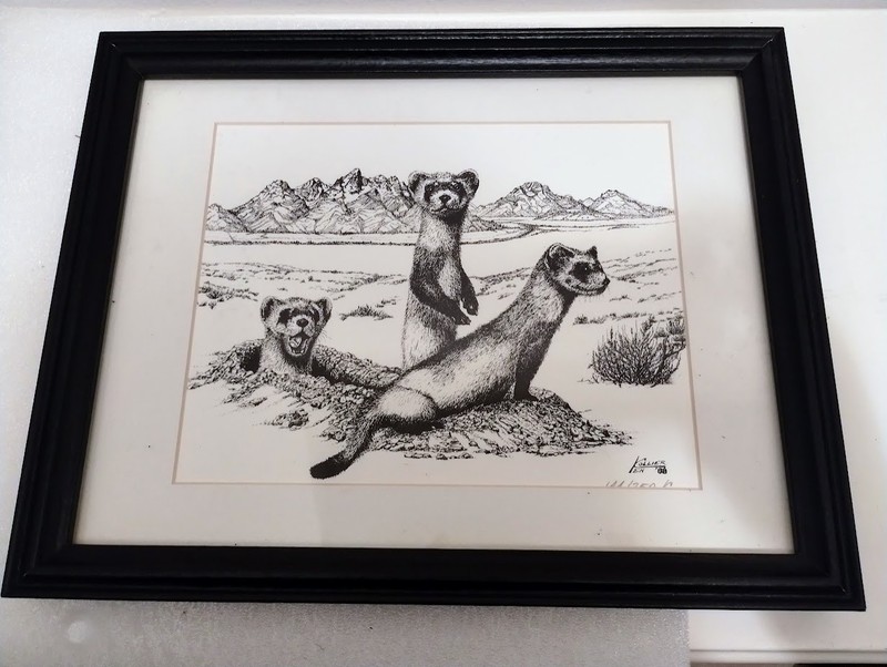 Limited Edition Print – Ken Collier, ’88, Black Footed Ferrets, signed/numbered
