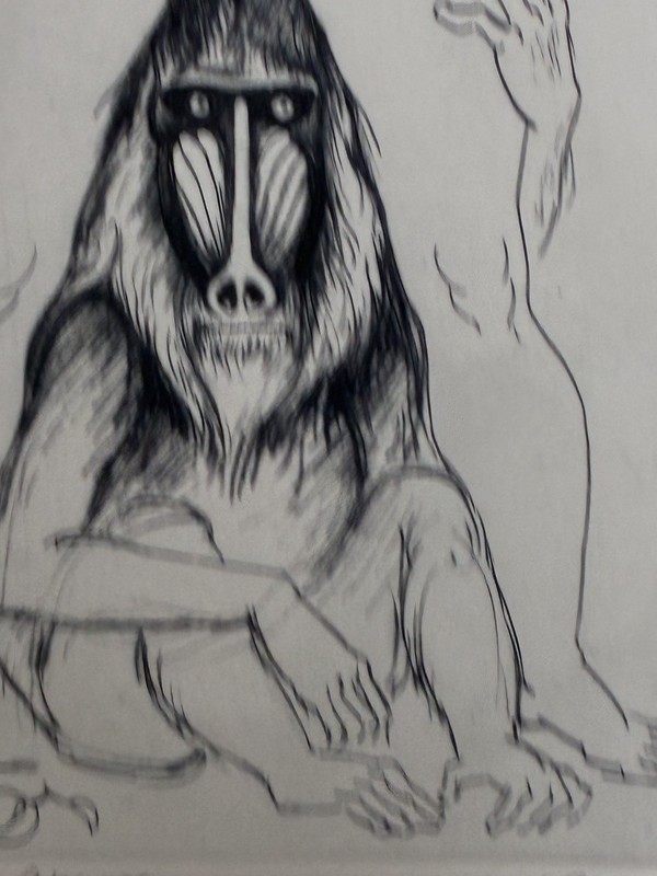Signed Erotic Artist Morton Levin Original Etching 17/100 - Ape-X gallery