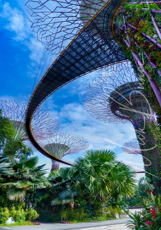 Wall Art «Skywalk, Garderns by the bay» Singapore A4 Print