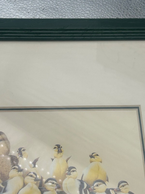 **“The Kids” 1987 SEWE Portraits in Wildlife Art LaMay 12 !/2 By 15 !/2 Inches** gallery