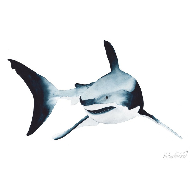Great White Shark Art Print – 16 x 12 inch