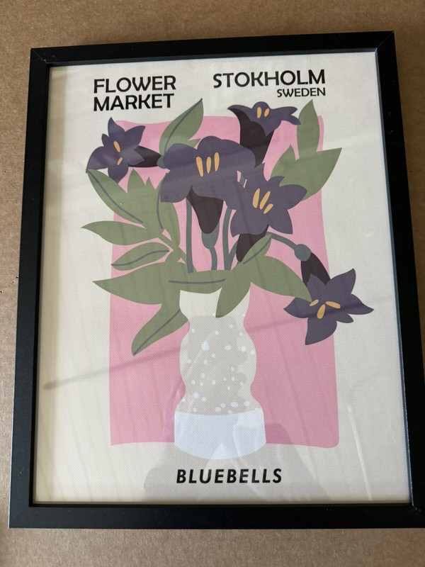 11 X 14 Black Wood Framed Flower Print NEW shipping included