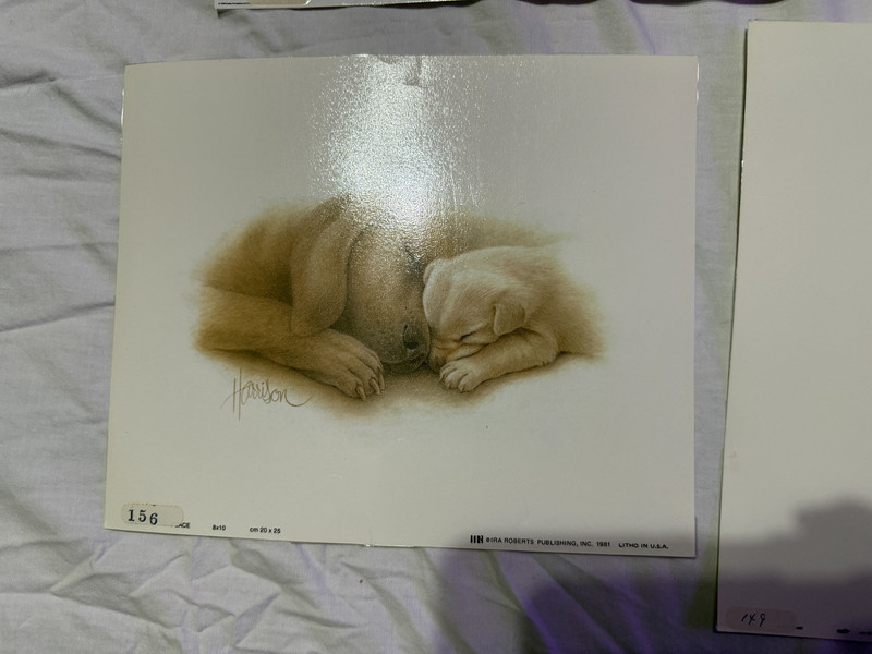 Vintage Lot of 6 Laminated Art Prints 1970s 80s Classroom Pets Animals Harrison gallery